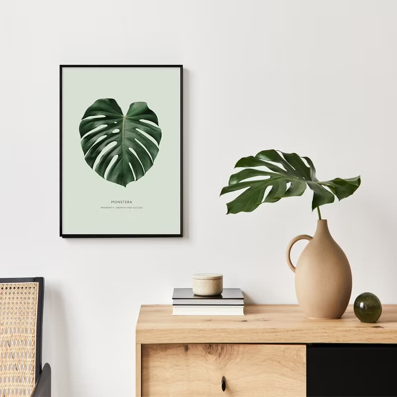 欣欣向榮–龜背竹-畫/哪裡買畫/旅店掛畫/客廳/植物/家居佈置