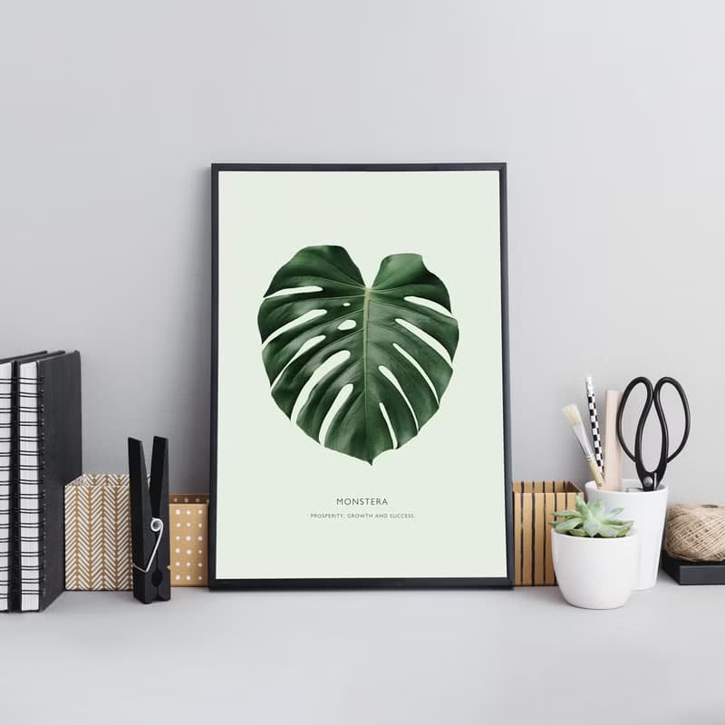 欣欣向榮–龜背竹-畫/哪裡買畫/旅店掛畫/客廳/植物/家居佈置