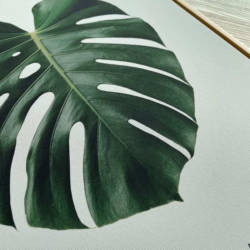 欣欣向榮–龜背竹-畫/哪裡買畫/旅店掛畫/客廳/植物/家居佈置