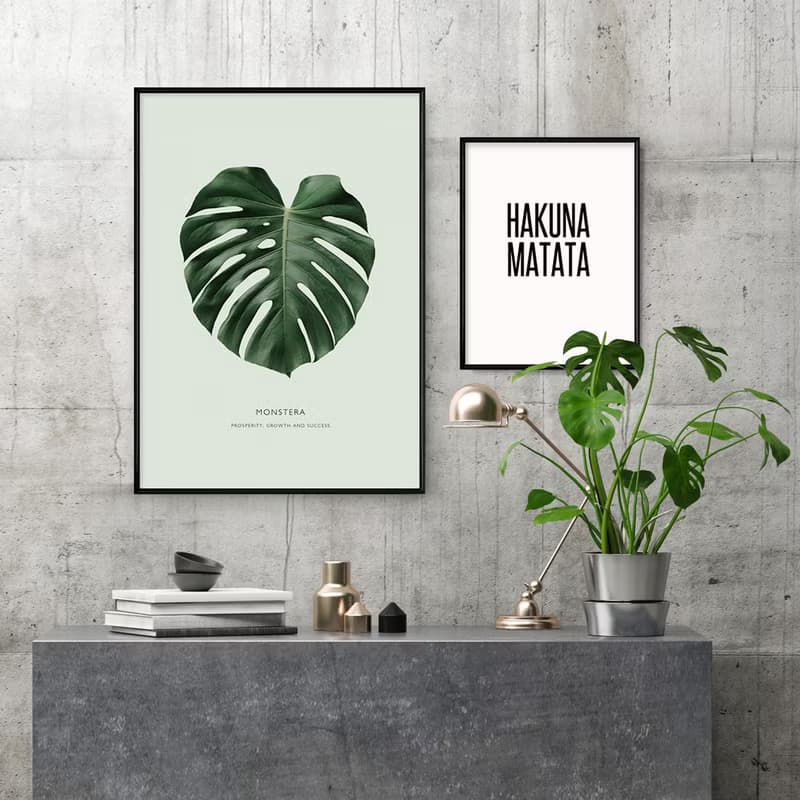 欣欣向榮–龜背竹-畫/哪裡買畫/旅店掛畫/客廳/植物/家居佈置