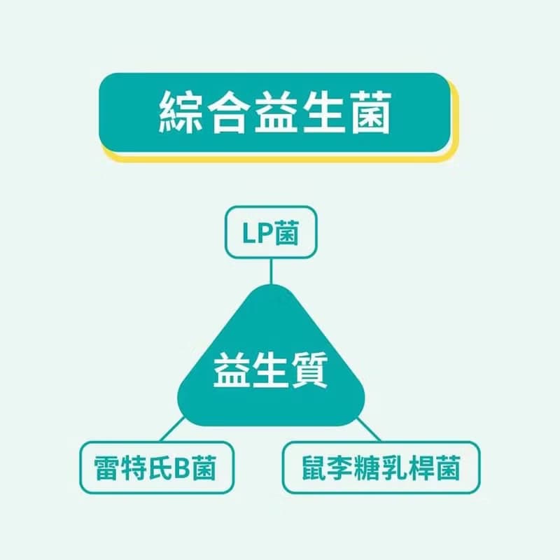 THE VEGAN 樂維根 純素 大豆植物性高蛋白 巧克力 大包裝1KG