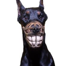 Pet Gift Funny dog muzzle Hand painted Smile Doberman muzzle Halloween Costume