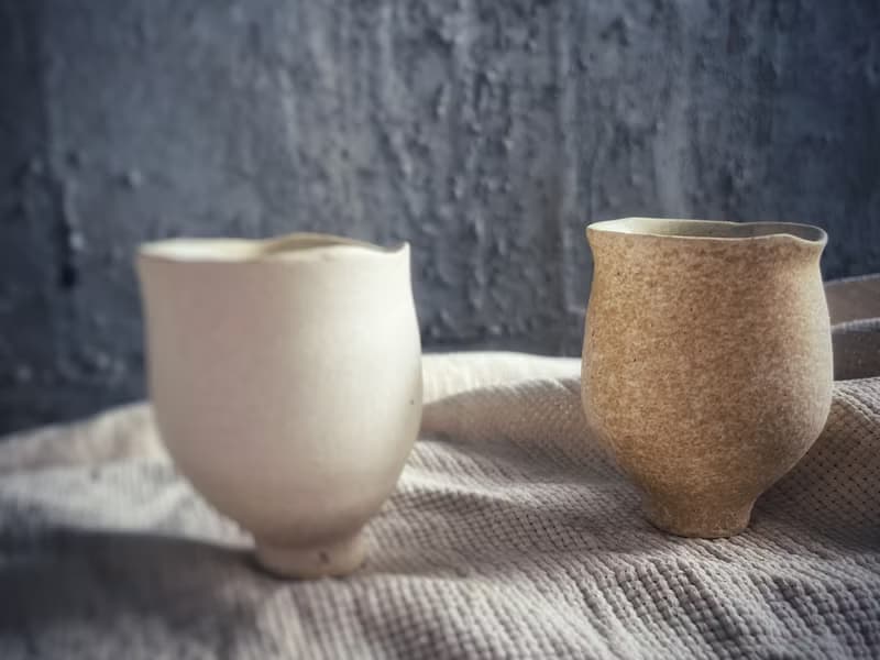 野獸胖肚小茶杯・聞香杯 / 浪口銘黃