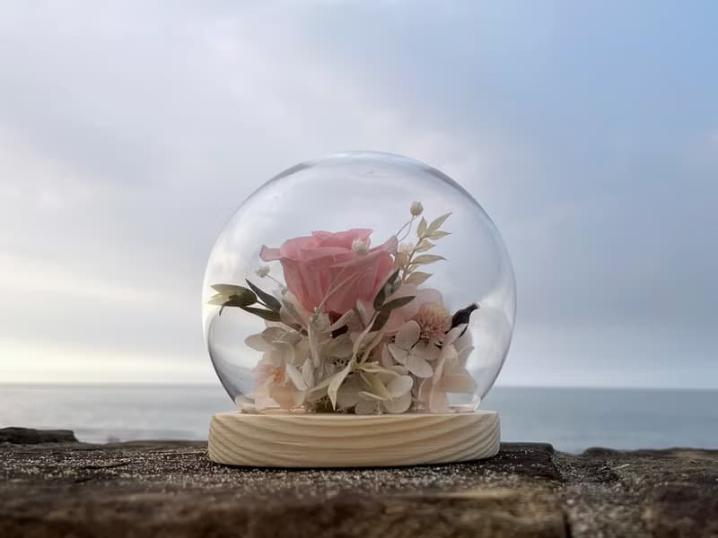 12cm永生花玻璃鐘罩|不凋花|永生花|乾燥花|