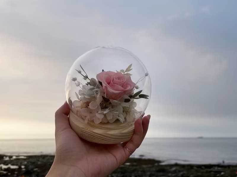 12cm永生花玻璃鐘罩|不凋花|永生花|乾燥花|