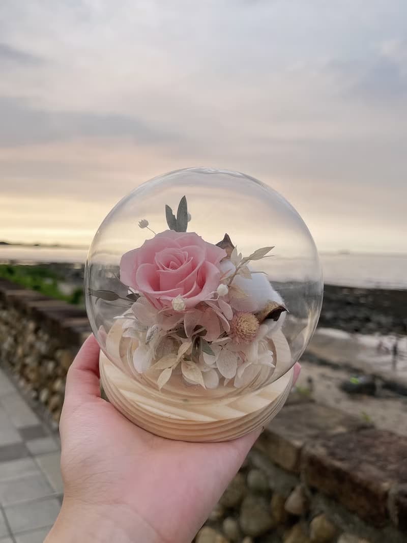 12cm永生花玻璃鐘罩|不凋花|永生花|乾燥花|