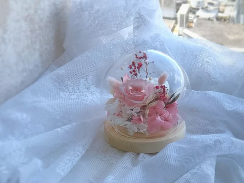12cm永生花玻璃鐘罩|不凋花|永生花|乾燥花|