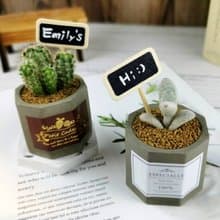 【高雄場】下班隨手作 | 多肉雙八角水泥盆