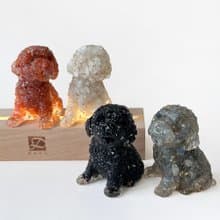 水晶 貴賓狗 M號 |  | 天然石手作 | 居家擺飾 療癒萌犬 |拉長石