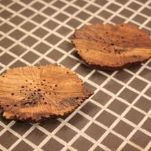 【送禮好物】老樟木 一對 奇木杯墊 手工荷葉紋 三峽日月坊出品