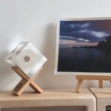 【純淨植磚－蒲公英】植感手作藝術品/居家品味擺飾