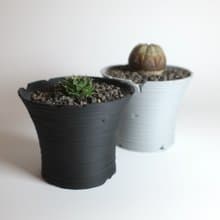 CBP005植木鉢 原創設計/3D列印/多肉塊根植物/盆器盆栽/送禮