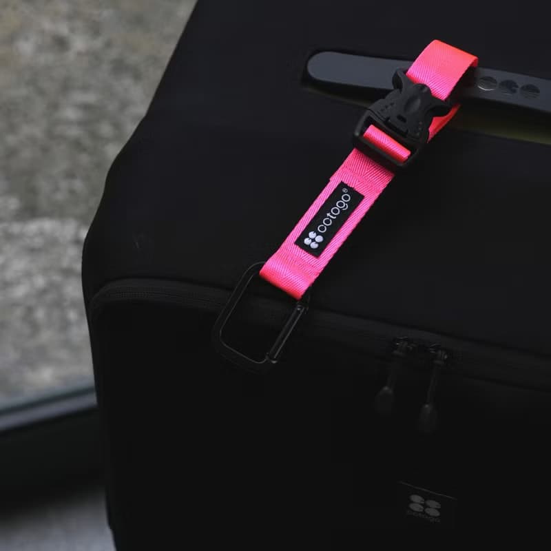 cctogo∣多功能行李掛扣