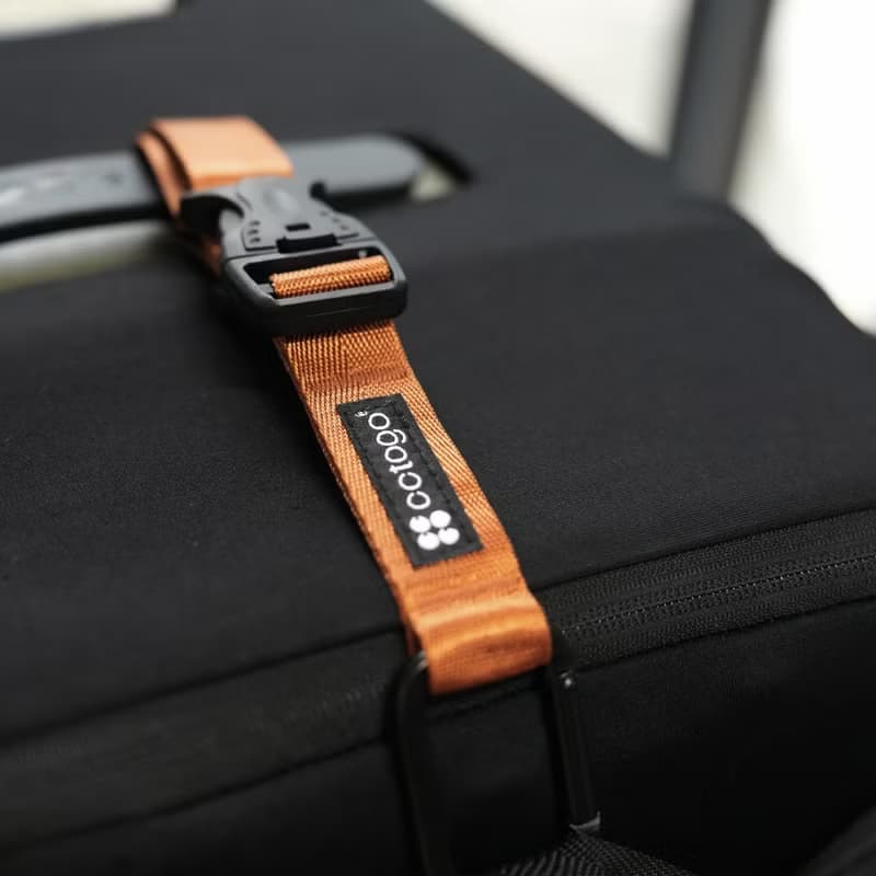 cctogo∣多功能行李掛扣