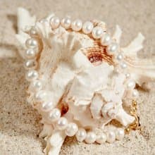 天然白色淡水珍珠手鏈 7–8mm 金色OT扣 經典優雅 生日禮物