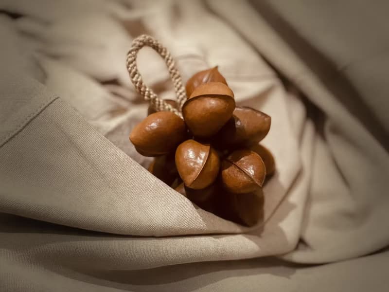 【秋根】 銀葉板根 種子串 大串 天然種子 手作 掛飾  送禮 禮盒