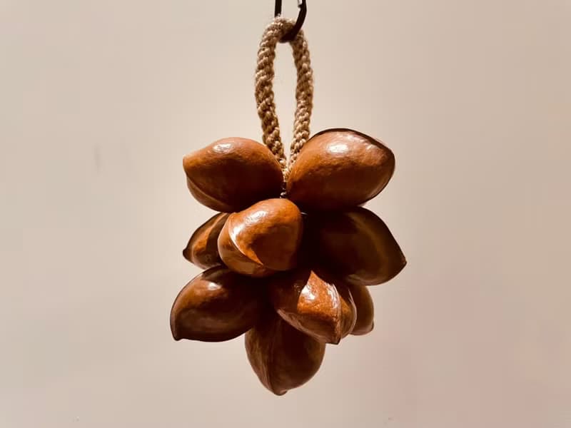 【秋根】 銀葉板根 種子串 大串 天然種子 手作 掛飾  送禮 禮盒