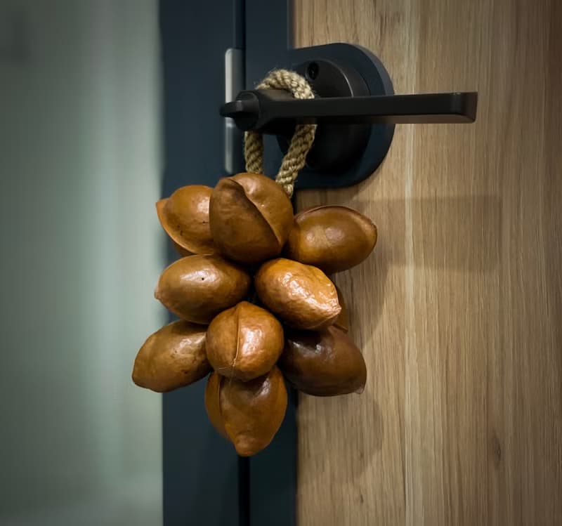 【秋根】 銀葉板根 種子串 大串 天然種子 手作 掛飾  送禮 禮盒