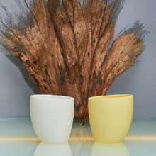 【3,co】海洋海鳥小杯(雙色組) - 白+黃