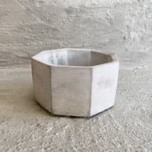 【荳荳多肉】【八角淺泥盆】喬遷│送禮│升遷│多肉植物