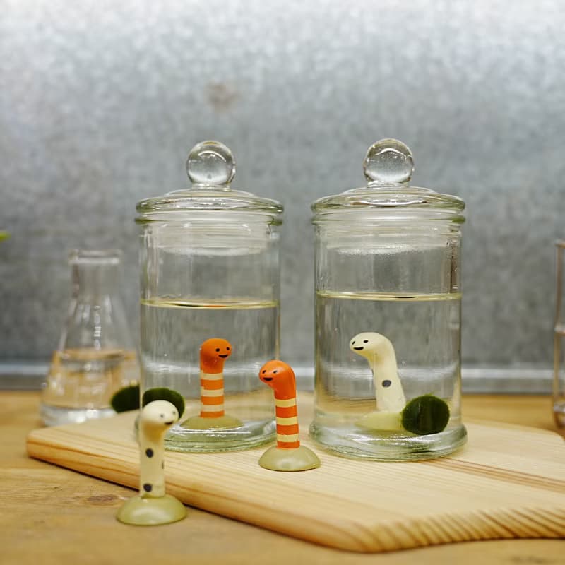 小動物與小藻球