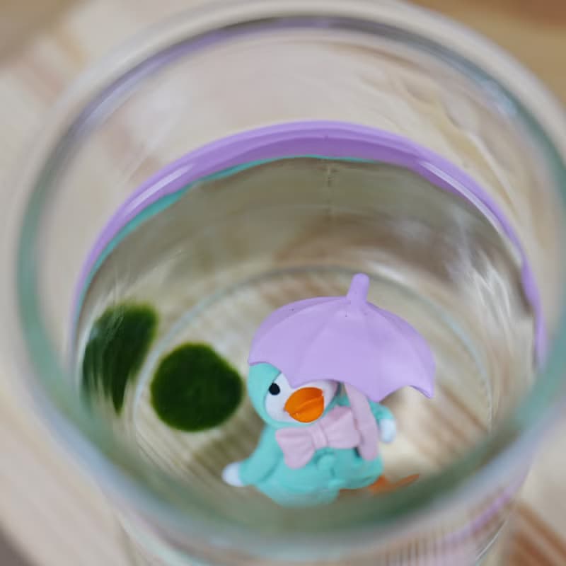 小動物與小藻球
