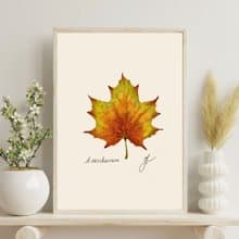 Maple Leaf Botanical Print Digital Download - Acer Wall Art - Autumn Decor