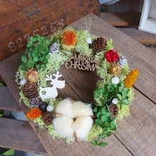 Hello Green W017綠野苔草花圈 聖誕裝飾 花環 乾燥花 2023花圈