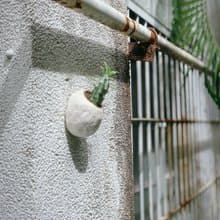 /肥肥的繭/ 手捏陶瓷植栽盆