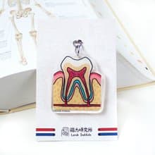 牙齒 內臟 器官鎖匙扣  鑰匙圈科學 畢業