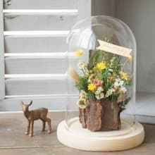 【DIY材料包】森林花園永生花玻璃罩/ 附簡易說明書電子檔