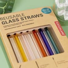美國 Kikkerland 食品級玻璃彩色吸管 喝水牛奶杯配件 非一次性