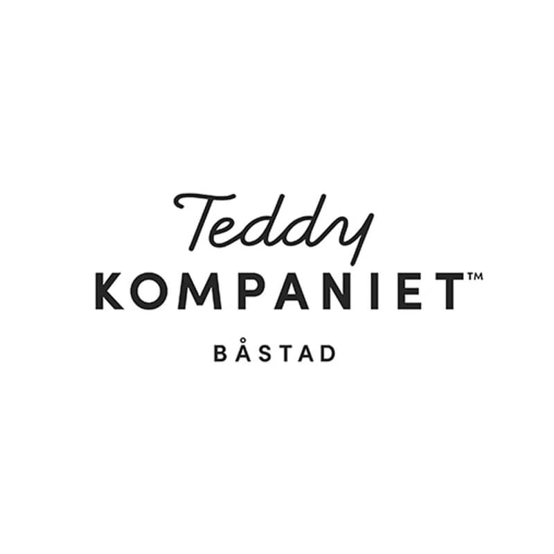 北歐 瑞典 Teddykompaniet Lolli 恐龍安撫巾