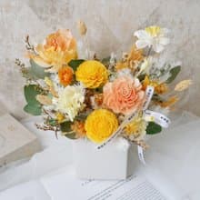 方盆中大型加大款乾燥花盆花【燦爛如昔】乾燥花盆花/開幕賀禮