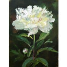 Peony Painting Original  Oil Art  Floral Artwork Bouquet Peony Wall Art