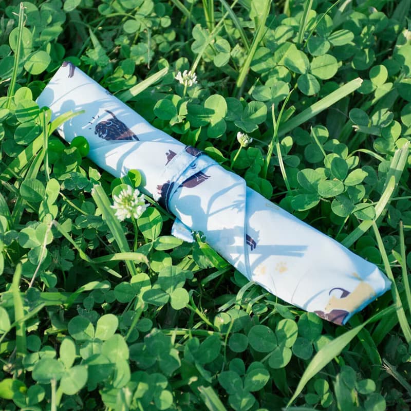 好日子餐具套 | 相信動物