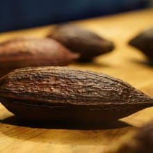 可可宴-從神的飲品到人間的甜品 | 草木竹石 | 大稻埕