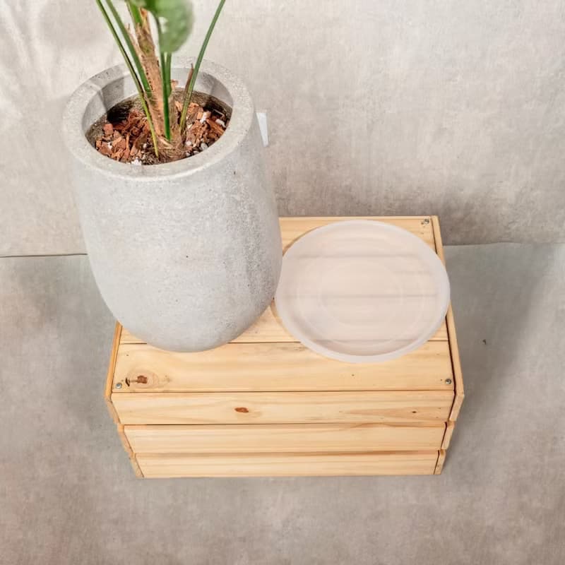 琴葉榕水泥盆栽 落地盆栽 室內植物  灰水滴磨石花盆 開幕 送禮