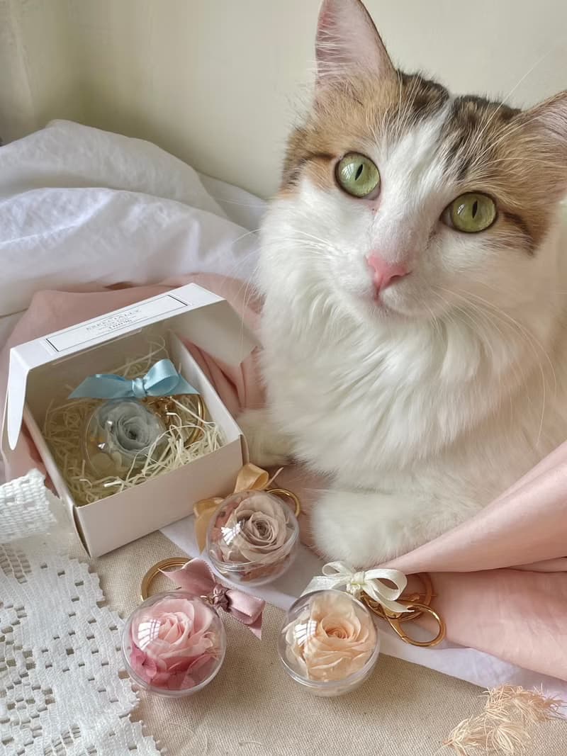 【永生花鑰匙圈】母親節 質感禮物 附禮盒 婚禮小物 桌上禮