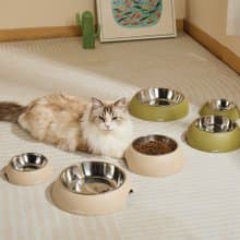 【MPETS】為毛孩打造優雅又實用的專屬餐具 ! ECO 不鏽鋼環保碗