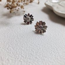|| 小雛菊 || 純銀耳針耳環
