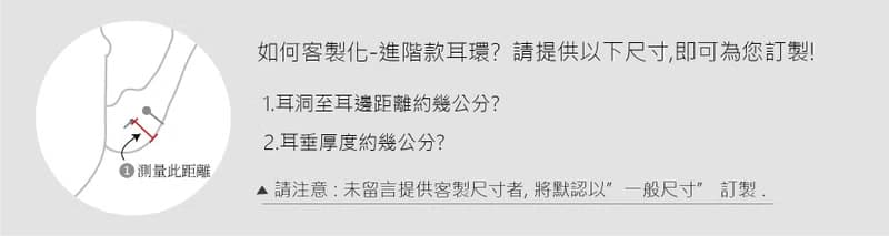 925純銀  獨家進階 小巧赫基蒙水晶 閃靈鑽 耳環 免費送禮包裝