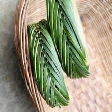 竹編系列 | 隔熱圈 茶壺托 蒸架  | 傳統竹編 自然環保 |
