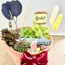 多肉組盆 多肉植物 日式枯山水 黃金鼠 鼠家長送禮 小鼠 禪意