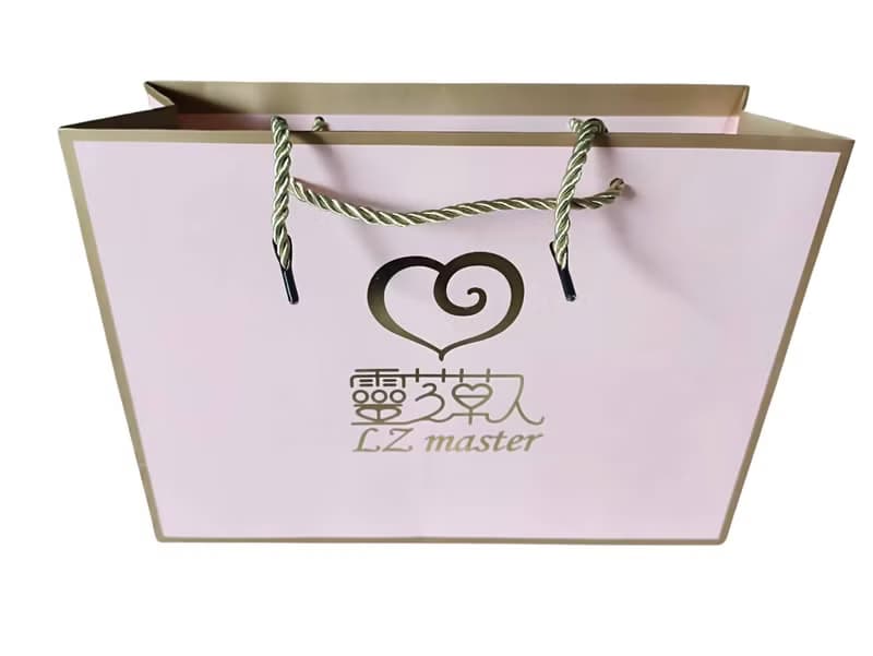 真心靈芝杭菊茶 ( 3入輕巧盒 ) 附提袋