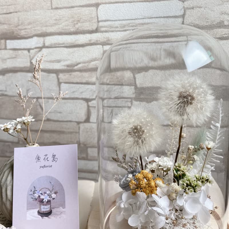【靜謐飛舞】蒲公英夜燈鐘罩花-畢業禮物 情人節 乾燥花 yufloris