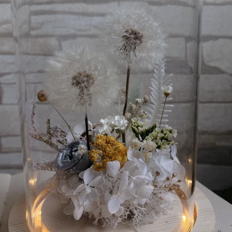 【靜謐飛舞】蒲公英夜燈鐘罩花-畢業禮物 情人節 乾燥花 yufloris