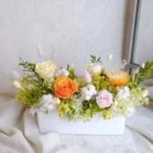 【永生花盆花】永生花/開幕盆栽/橘色/綠色/黃色/賀升遷