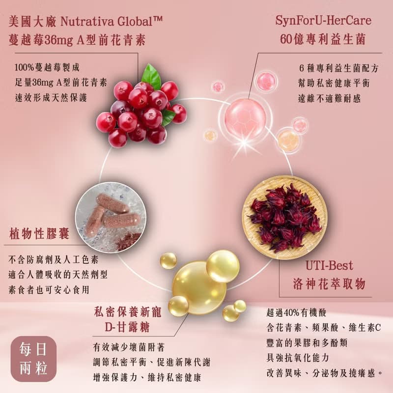 【D.nymph丁妮芙】1入 蔓越莓專利益生菌 (30粒/袋) 台灣製