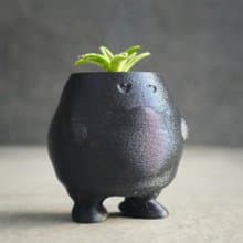 【肥蛋】植物盆器 3d列印盆器 原創設計 塊根盆 多肉盆 水泥盆